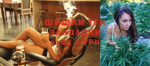 спиды Тайга