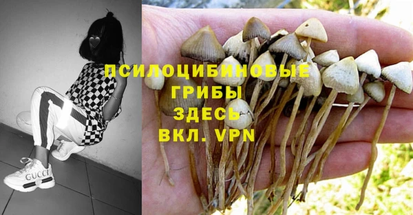 крисы Белоозёрский