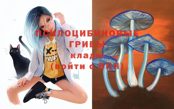 крисы Белоозёрский