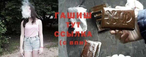 дмт Тавда
