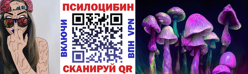 Галлюциногенные грибы Magic Shrooms  как найти   Бутурлиновка 